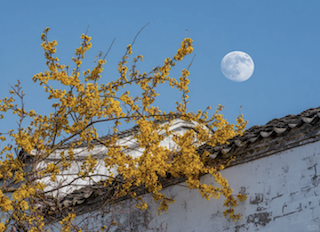 Уведомление о празднике середины осени