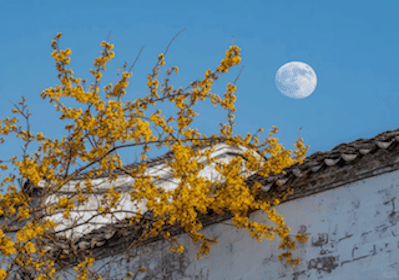 Уведомление о празднике середины осени