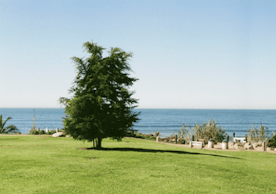 Уведомление о первомайских праздниках